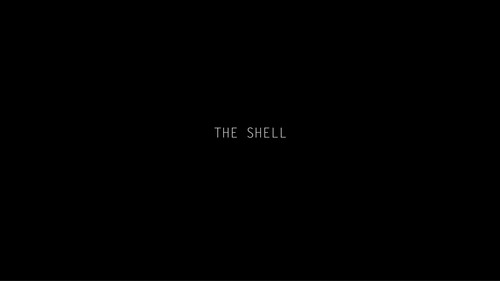 The Shell — Fundos 2