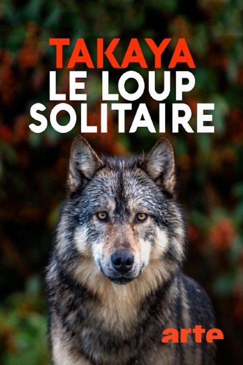 Takaya, le loup solitaire 2019