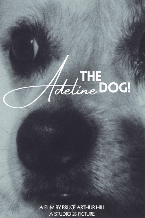 Adeline The Dog! poster