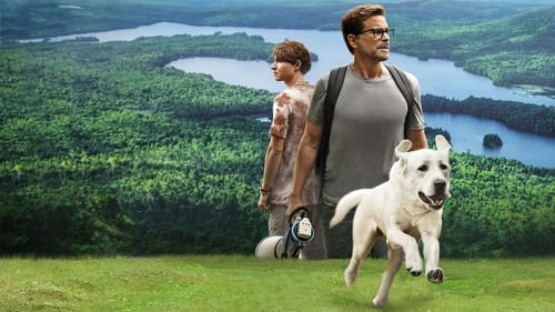 Dog Gone (2023) Download Full HD ᐈ BemaTV