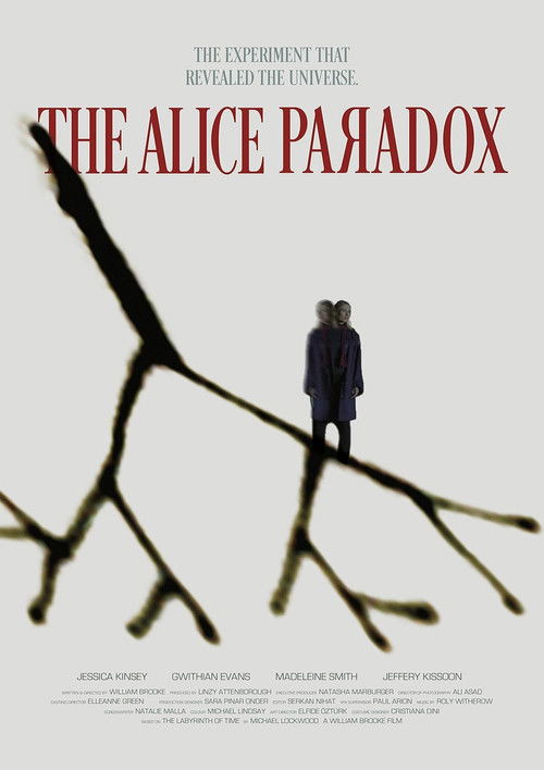 The Alice Paradox Poster