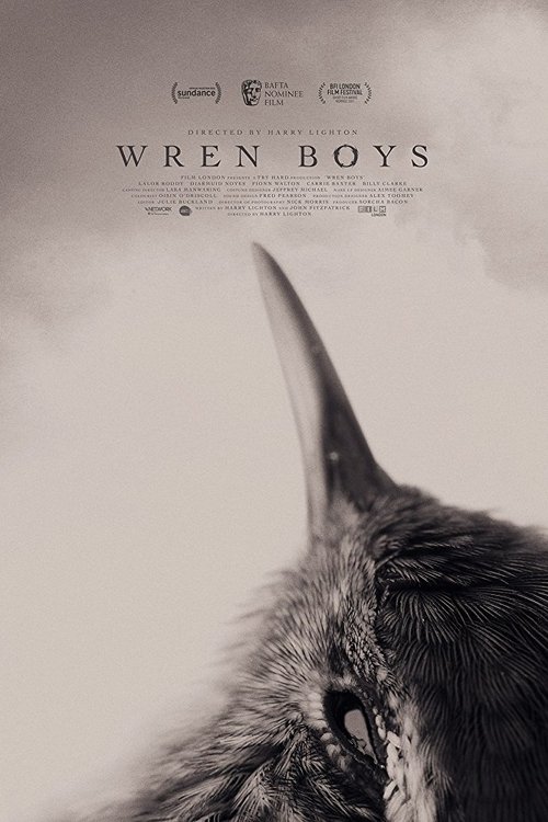 Wren Boys