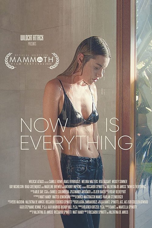 [HD] Now Is Everything 2020 Pelicula Online Castellano