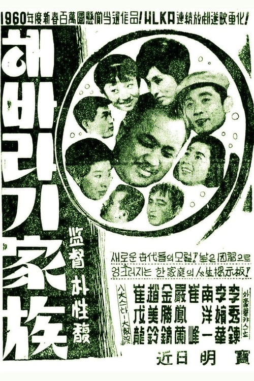 해바라기 가족 (1961) poster