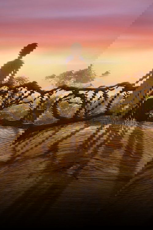 Kensuke's Kingdom