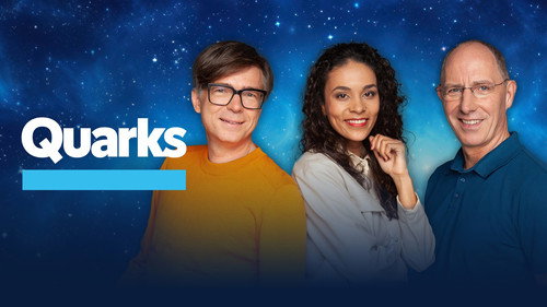 Quarks