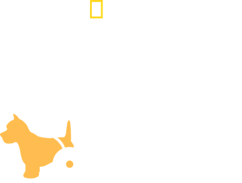 The Wizard of Paws