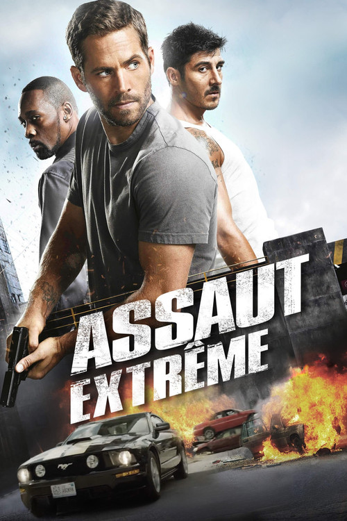 Brick Mansions
