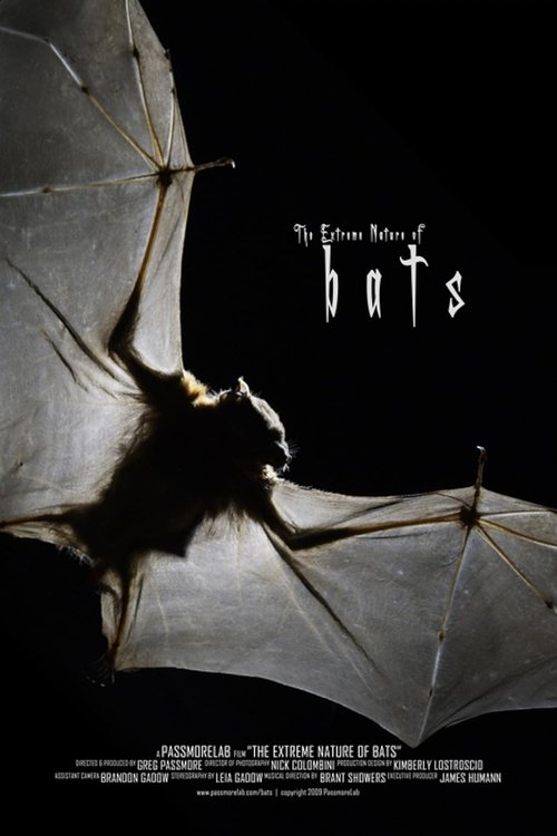 Bats