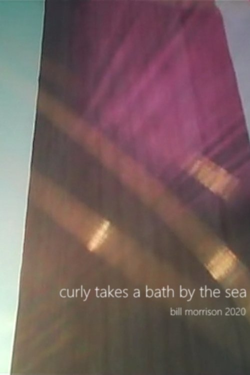 Curly Takes a Bath by the Sea