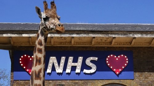 London Zoo: An Extraordinary Year