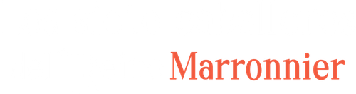 Los siete caballeros del Reino Marronnier