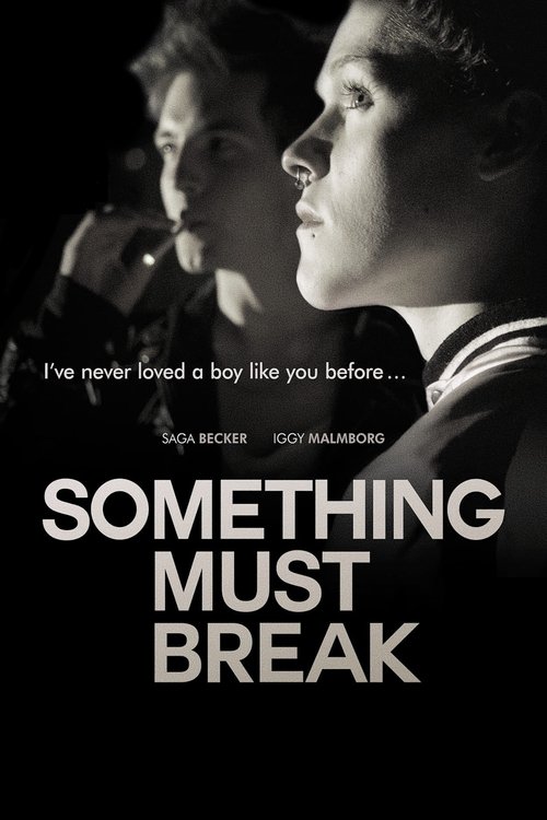 Poster 3
