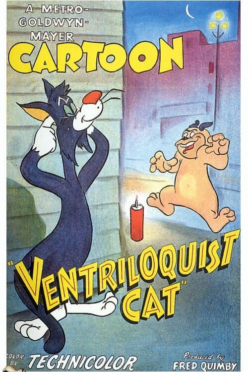 Ventriloquist Cat