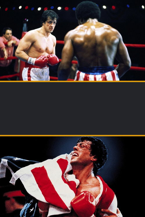 Pòster de Rocky - Col·lecció