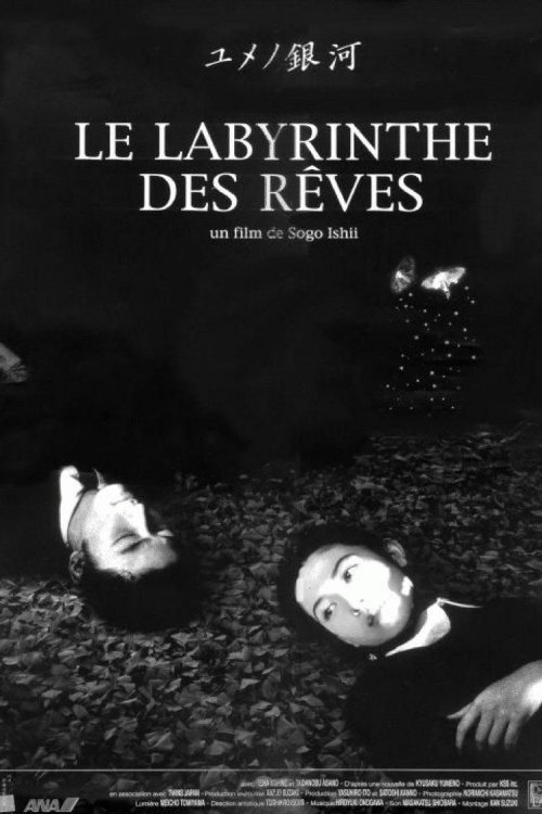 Le Labyrinthe des rêves movie poster player