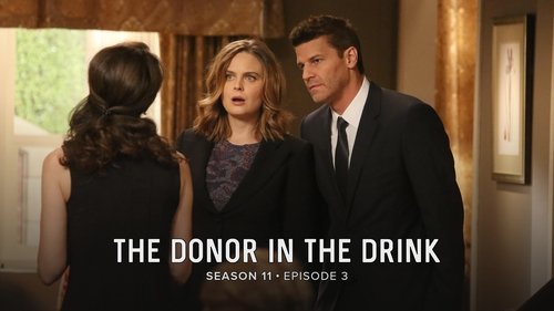 Bones: 11×3