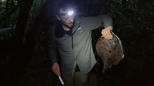 Image de l'épisode 8