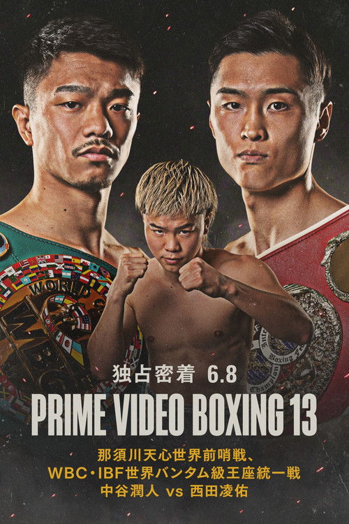 PRIME VIDEO BOXING 13 poster