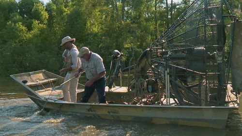 Poster della serie Swamp People