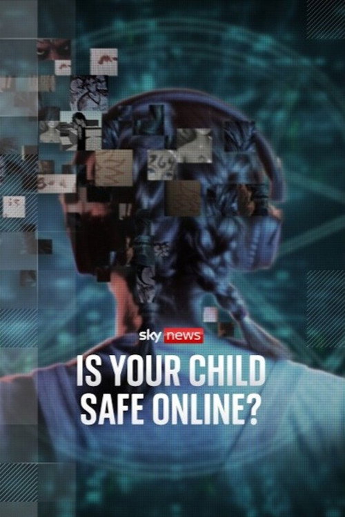 The Com: Online, Sadistic and Deadly. poster