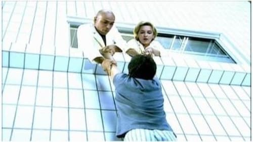 Poster della serie H