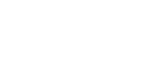 Léonard de Vinci : l'homme universel