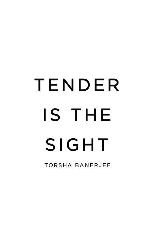 Tender Is The Sight 2014