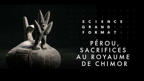Image de l'épisode 12