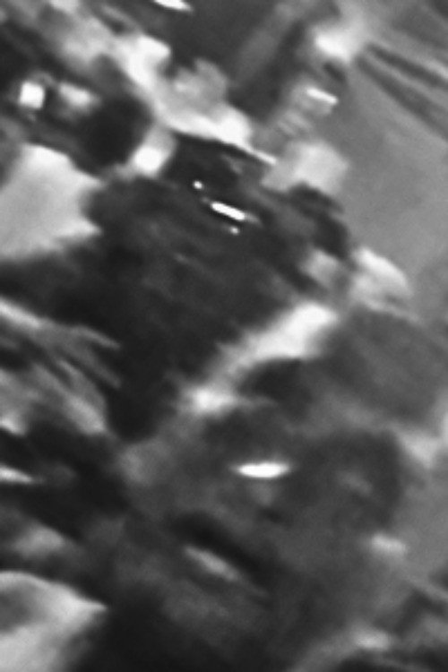 O King Kong Vai Destruir Meu Bairro