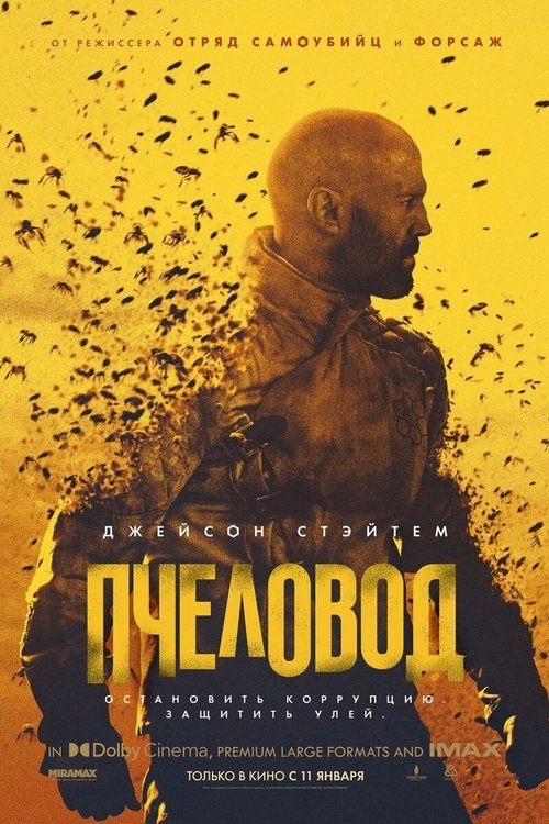 Posters