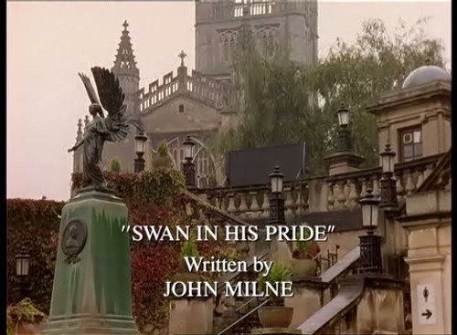 Swan in His Pride