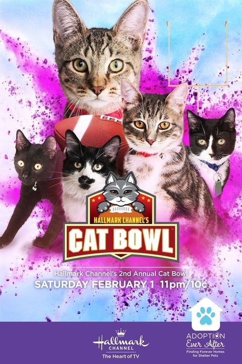 Hallmark Channel's 2nd Annual Cat Bowl 2020