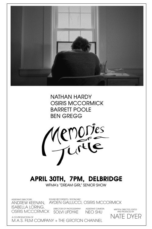 Memories of a Turtle