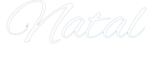Natal no Palácio - Logo 3