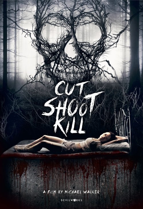 Poster 3