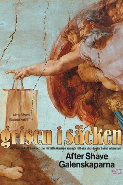 Grisen i säcken (1992) poster