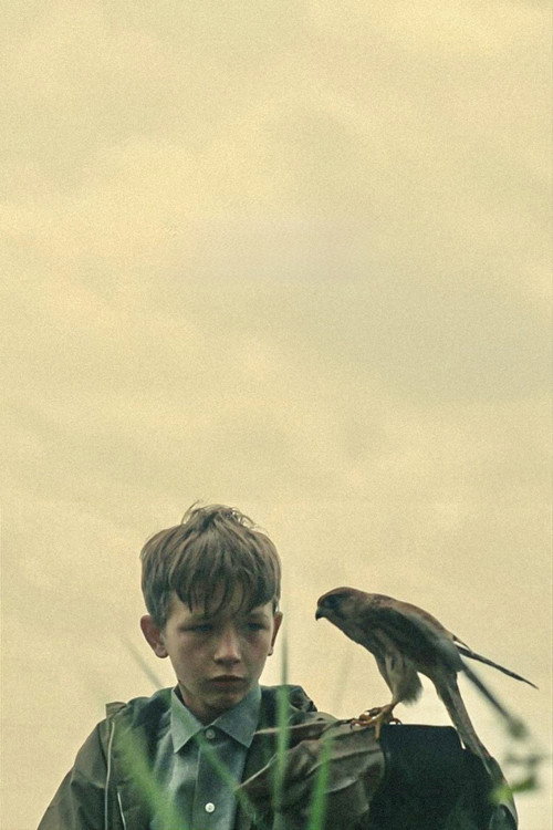 Official poster of Kes (1970) - Drama