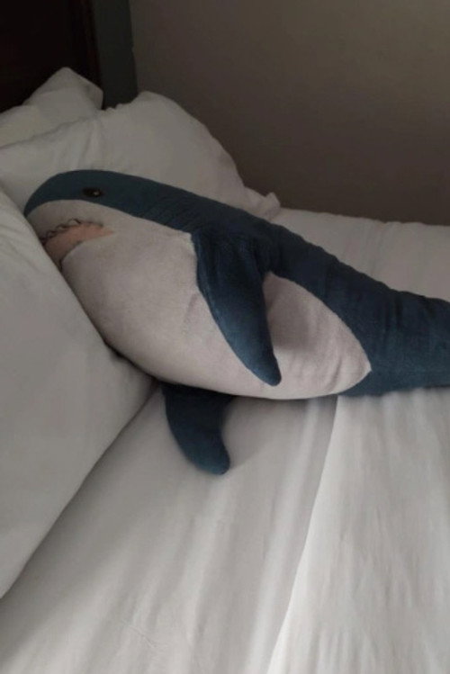 Brutus Shark