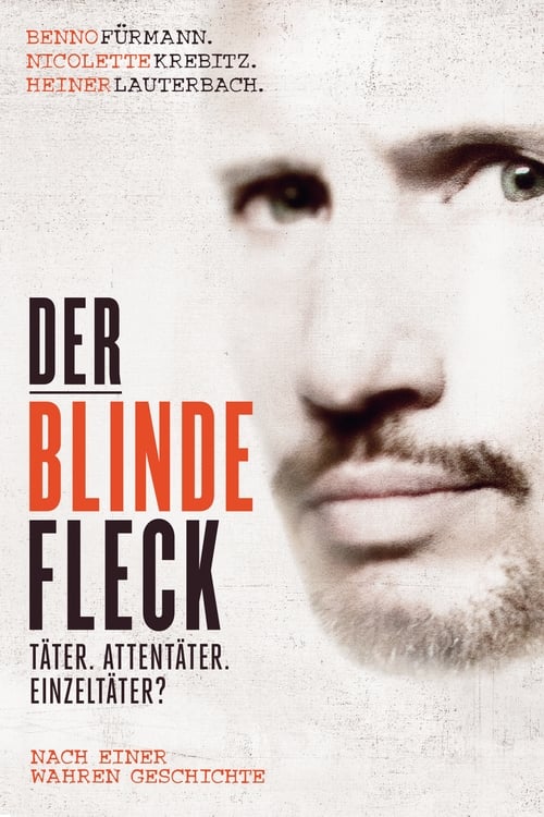 Der blinde Fleck (2013) poster