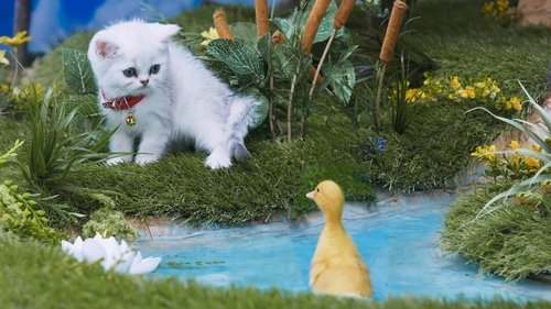 Image de l'épisode 14