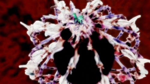 Image de l'épisode 7