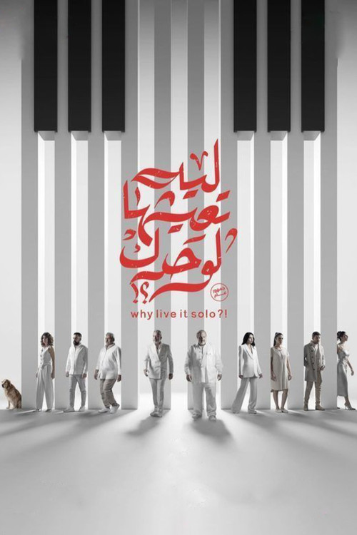 Why Live It Solo?! poster