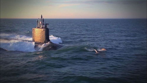 Poster della serie Paranormal TV