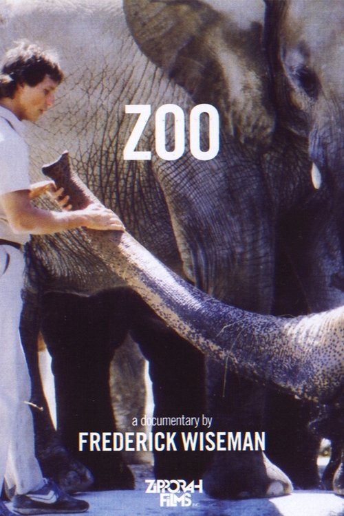 Zoo movie poster player