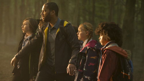 In the Forest of the Night