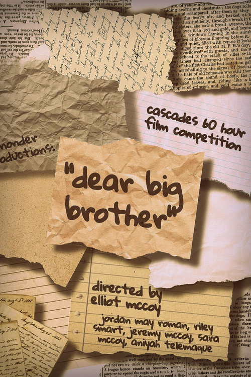 Dear Big Brother