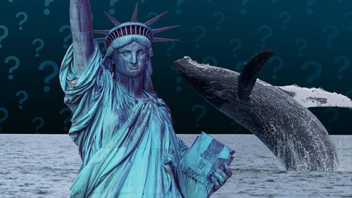 Can Whales and Ships Coexist in New York Bay?