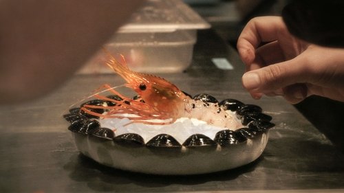 Ants on a Shrimp cover