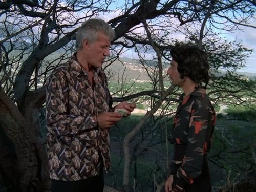Escena del episodio 24 de la temporada 9 de la serie Hawaii 5-0